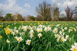 entspannungspädagogik nlp fortbildung lehrer erziher