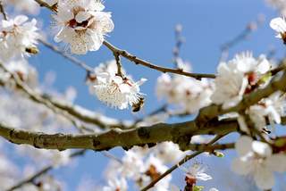 energetische-psychologie