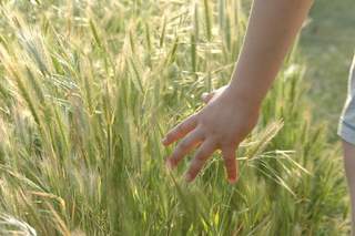 familienhilfe in nrw