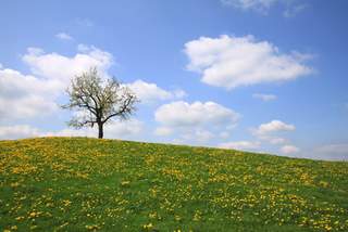 nlp-fortbildungen-nrw